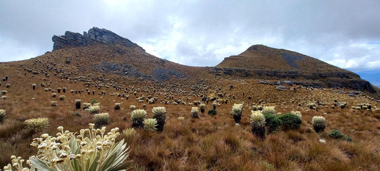 Hospedaje Y Camping Del Rio Monguí Eksteriør bilde