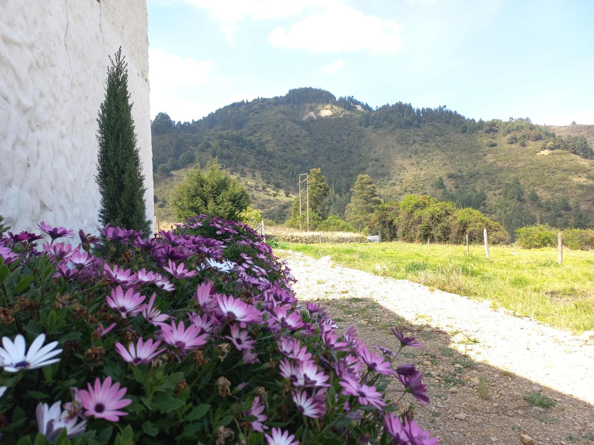 Hospedaje Y Camping Del Rio Monguí Eksteriør bilde