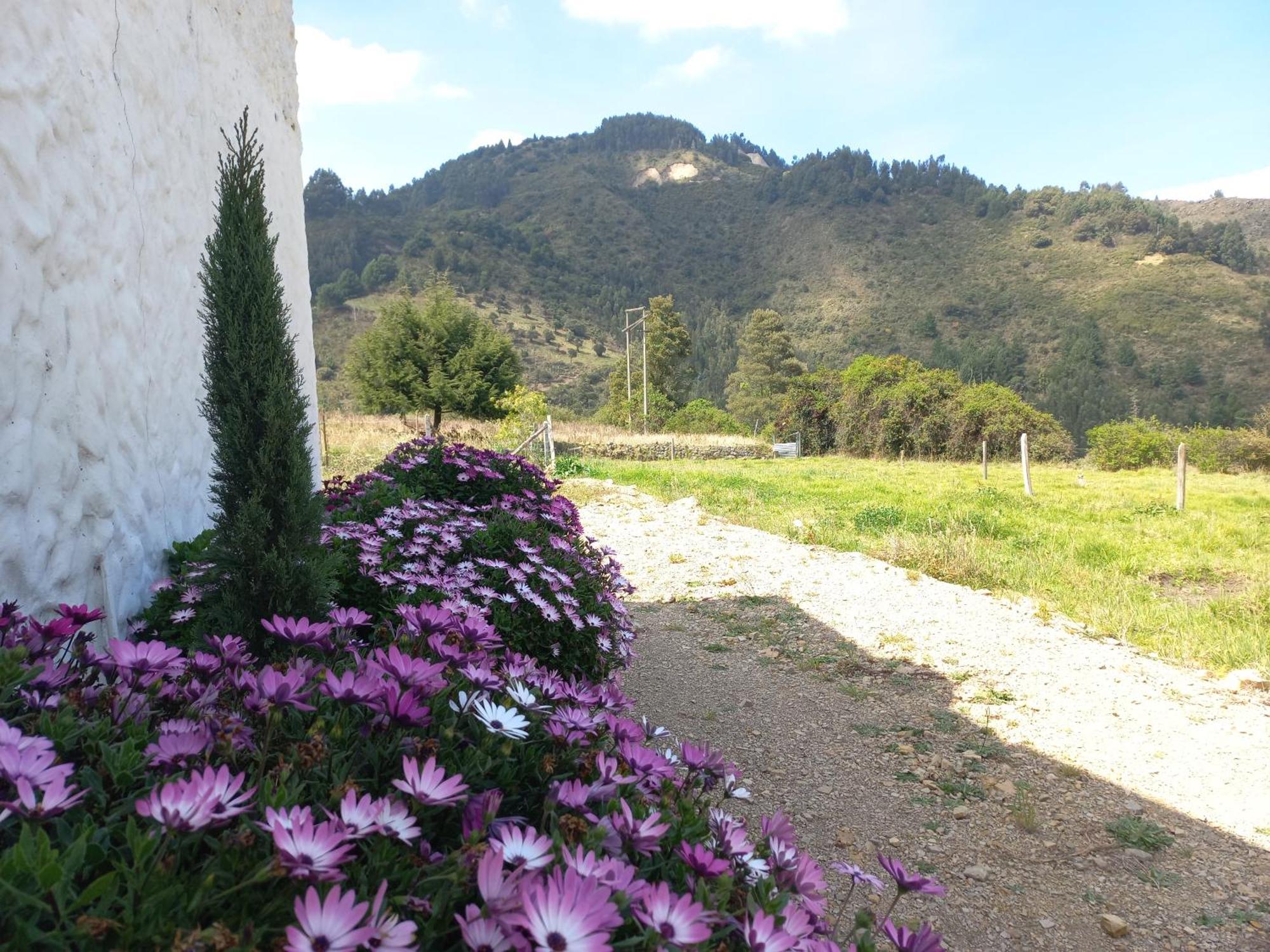Hospedaje Y Camping Del Rio Monguí Eksteriør bilde